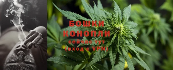 ешки Горняк