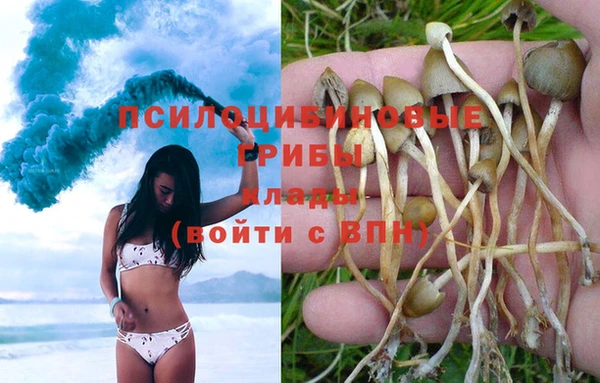 jwh Горно-Алтайск