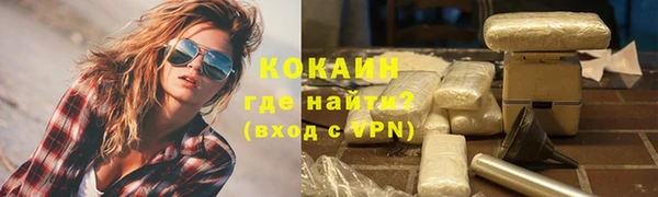 ешки Горняк
