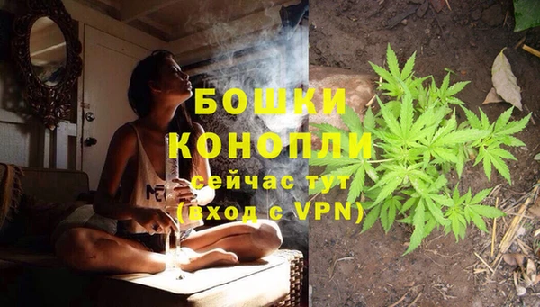 ешки Горняк