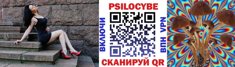 Купить где Николаевск-на-Амуре Псилоцибиновые грибы мицелий