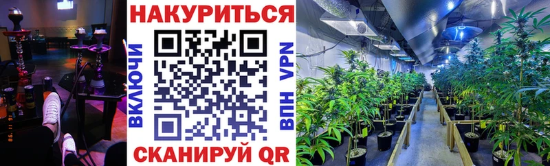 Купить закладки  Николаевск-на-Амуре  Конопля план 